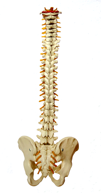 Top Lumbar Spine Surgery Questions
